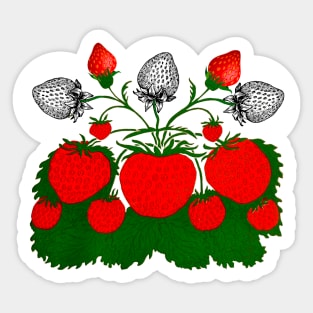 colorful fruit vintage strawberries Sticker